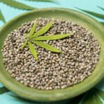 Nasiona marihuany – jak przechowywać, by nie straciły wartości?