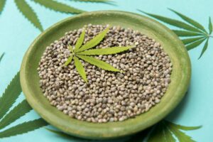 Nasiona marihuany – jak przechowywać, by nie straciły wartości?